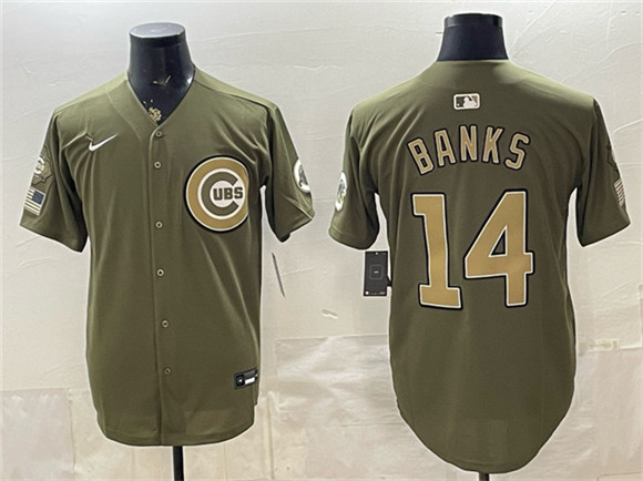 Men's Chicago Cubs #14 Ernie Banks Royal Olive 2026 Armed Forces Day Salute To Service Stitched Baseball Jersey