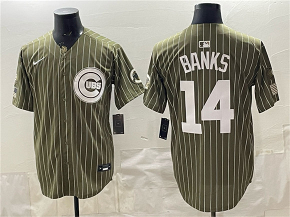 Men's Chicago Cubs #14 Ernie Banks Pinstripe Olive 2026 Armed Forces Day Salute To Service Stitched Baseball Jersey